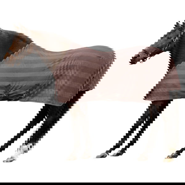 Waldhausen Fly Rug Economic, with Cross Straps