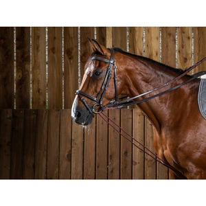 Dyon Schlaufzügel WC, Leder, Nylon Dyon Schlaufzügel WC, Leder, Nylon