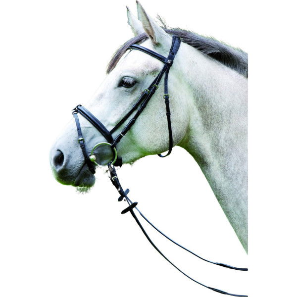 Kieffer Bridle Anja Beran, English Combined, with Reins