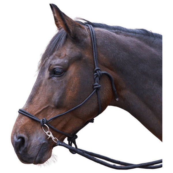 Waldhausen Knot Halter with Reins