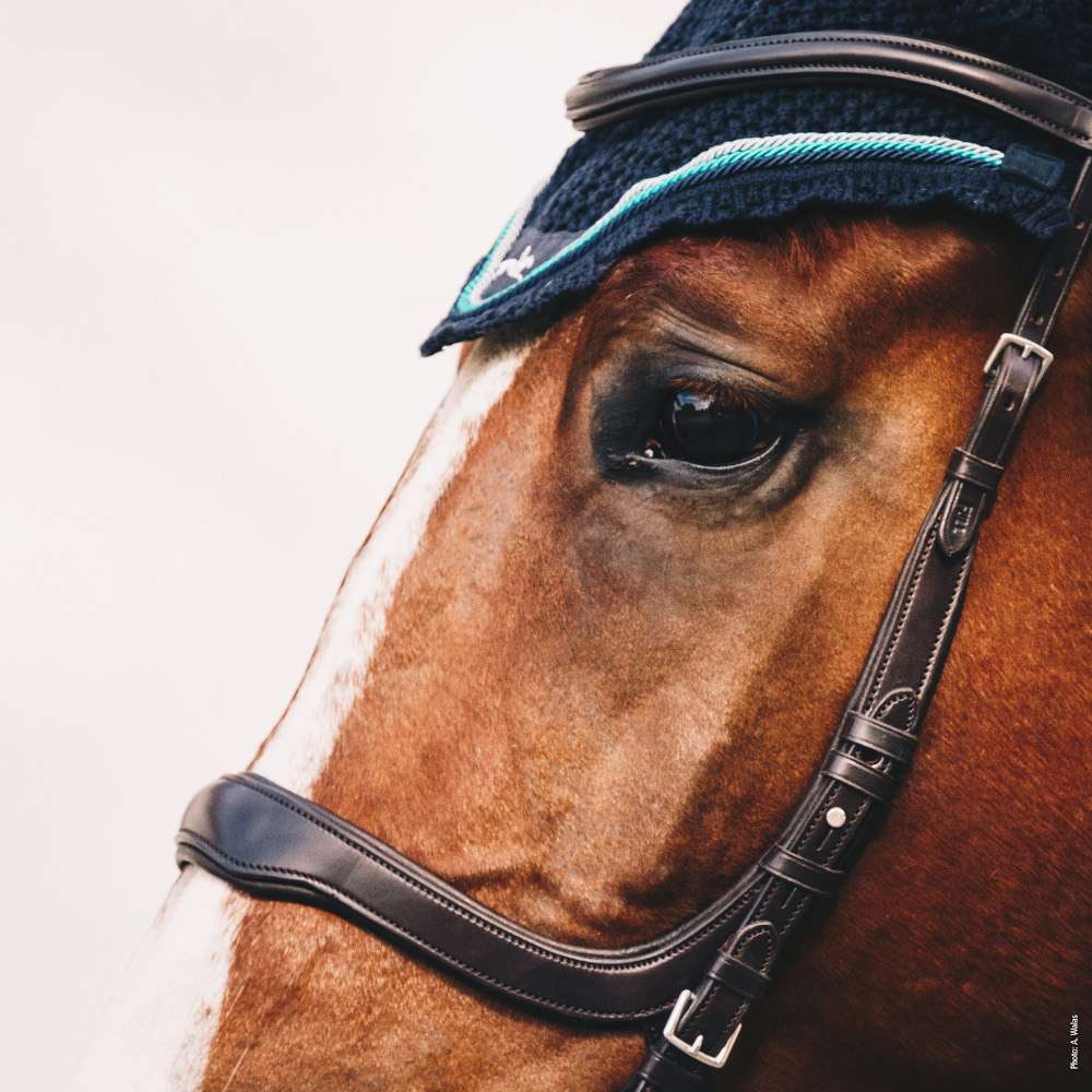 Schockemöhle Sports Anatomical Special Bridle Delta | FUNDIS