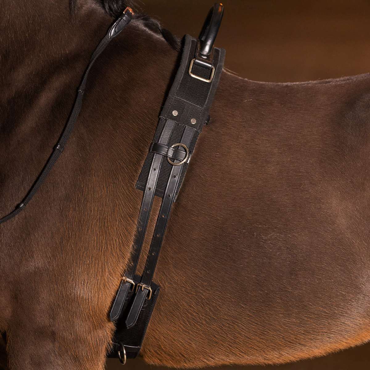 Esposita Reitgurt Mit 2 Griffen - Sicherer Halt Für Kinder & Reitanfänger