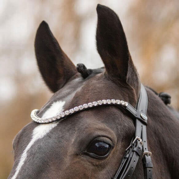 Passier Curved Browband with Extra Large Rhinestones