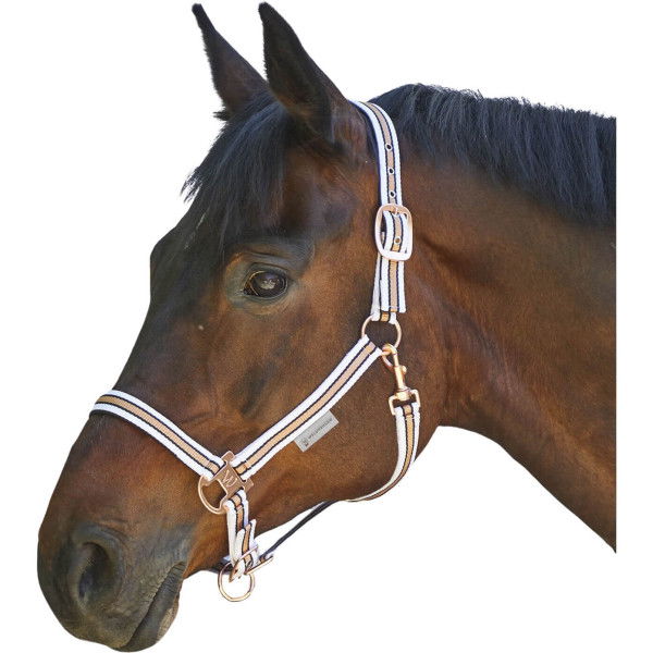 Waldhausen Halter Shine, Nylon Halter, Padded