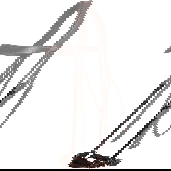 Dyon Wechselnasenriemen NEC, hannoveranisch, mit Kinnkette