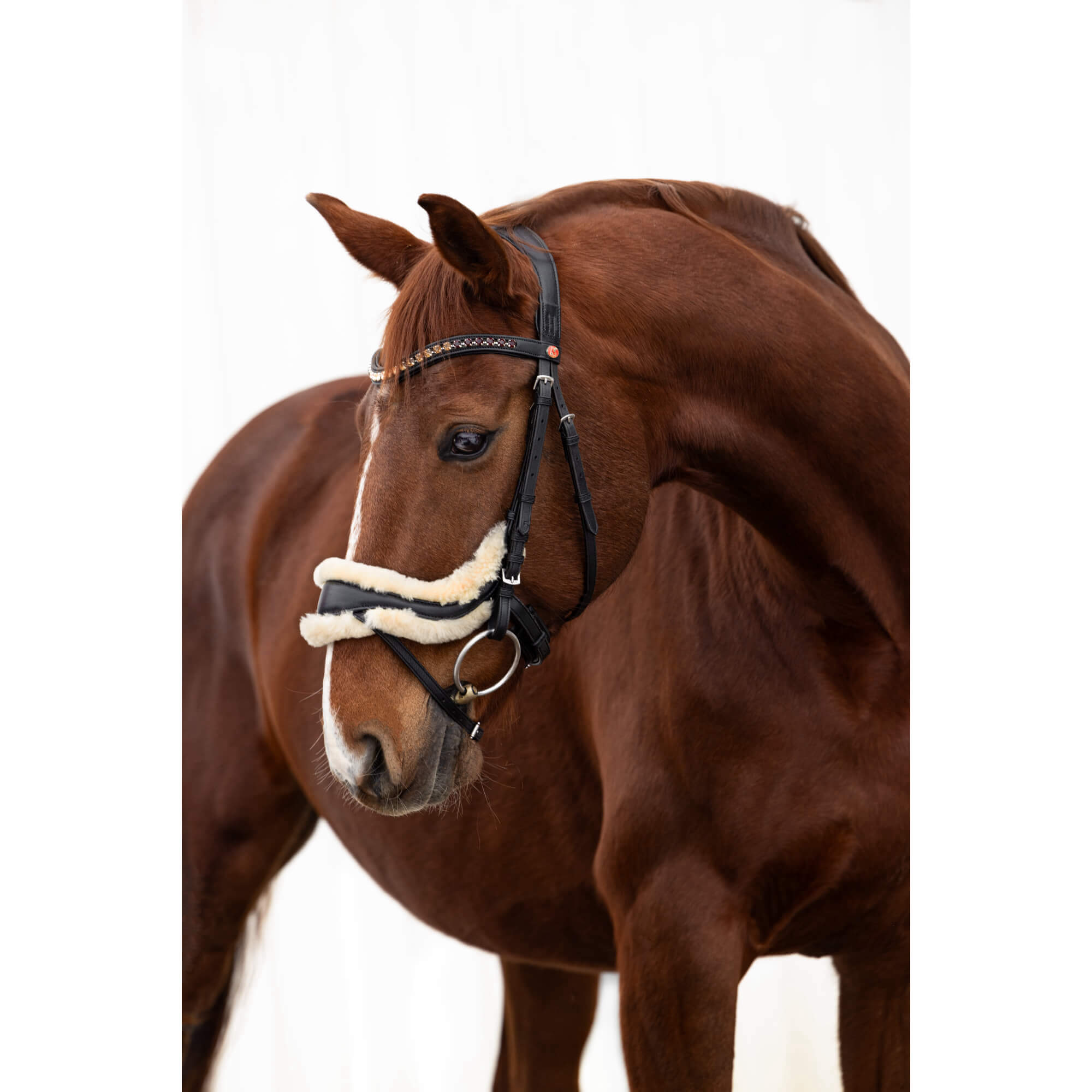 Kieffer Bridle Ultrasoft Amy Lambskin with Reins FUNDIS Equestrian