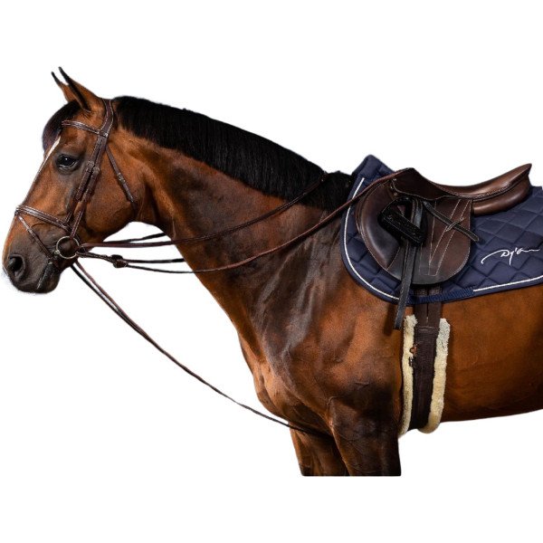 Dyon Full Leather Strap Reins US Collection