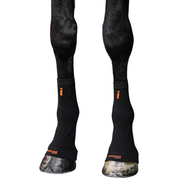 Incrediwear Equine Hoof Socks, 2er Set