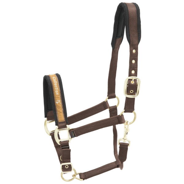 Kieffer Halter Nylon