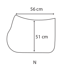N_3