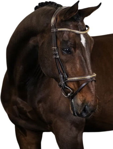 PS of Sweden Bridle Antwerp 2.0, English Noseband, without Reins