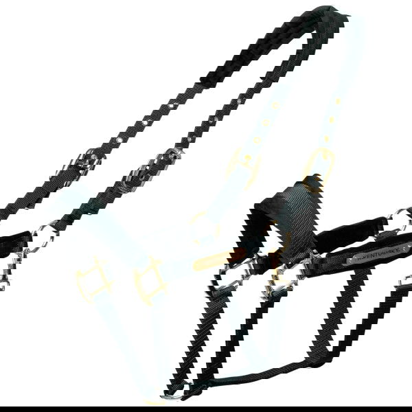 Kentucky Horsewear Halter Velvet, Nylon Halter, Velvet Halter