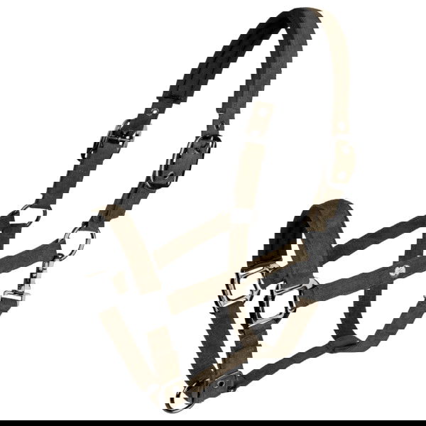 Waldhausen Halter St. Gallen FW25, Cord Halter