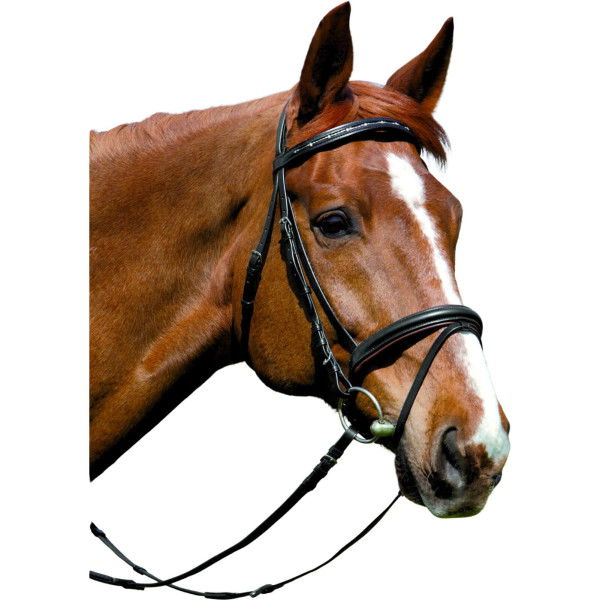 Kieffer Bridle Comfort I, English Combined, with Reins