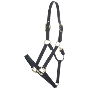 Kentucky Horsewear Halfter Breakaway, Nylonhalfter, mit Sollbruchstelle Kentucky Horsewear Halfter Breakaway, Nylonhalfter, mit Sollbruchstelle