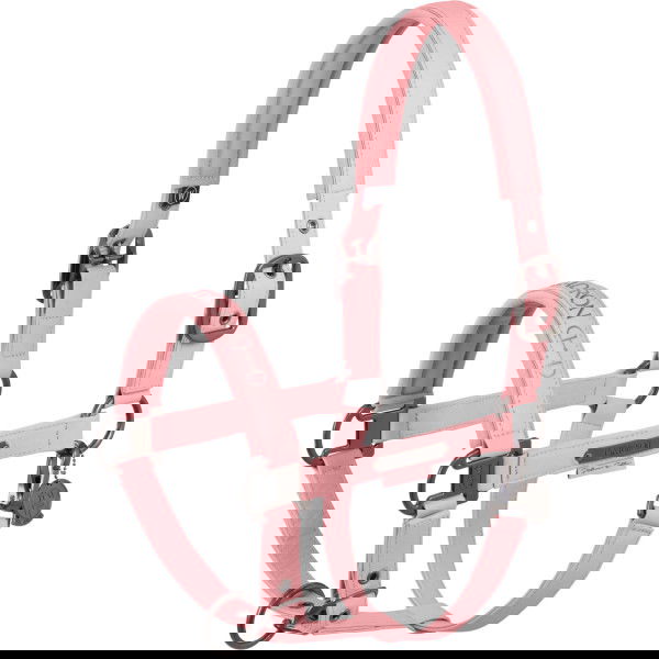 Eskadron Halfter Faux Leather Double Pin Platinum HW25, Kunstleder