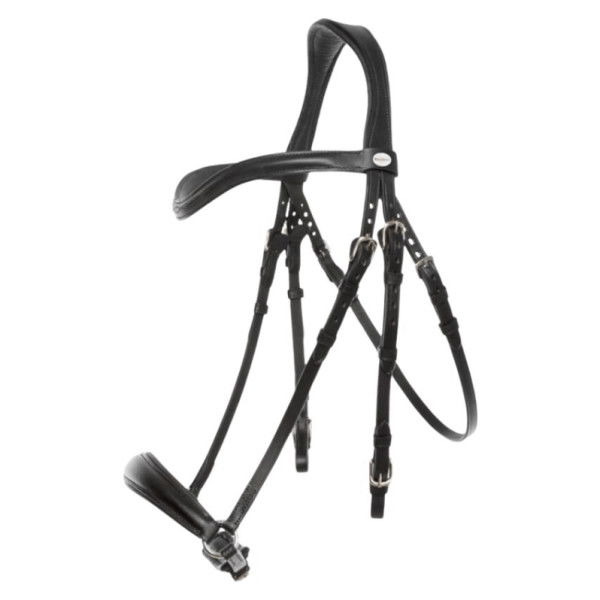 Kavalkade Bridle Anna Proline, hanoverian, with reins